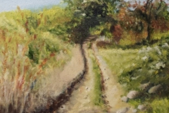 Farm Lane