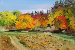 Farm Fall