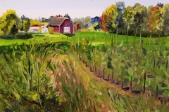 Rural Homestead