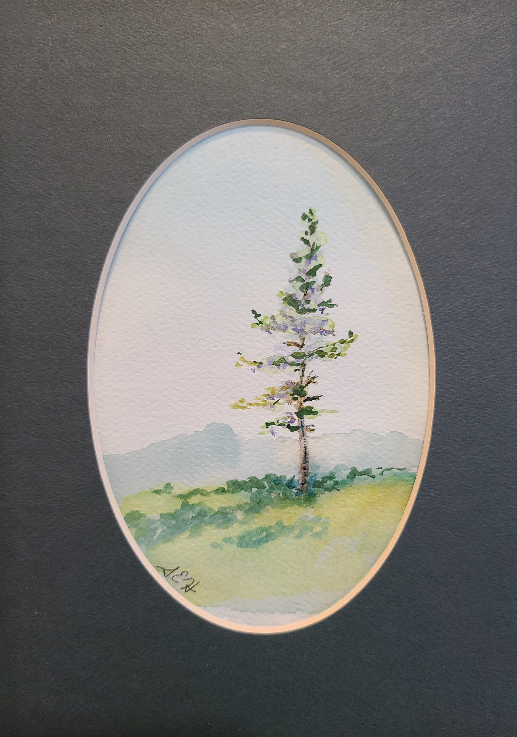Morning Pine Watercolor SOLD