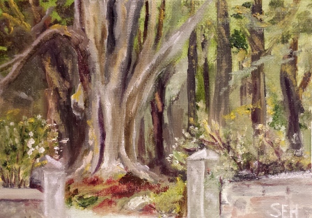 Welcoming Beech - Private Collection