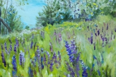 Lupine Afternoon at Sugar Hill SOLD