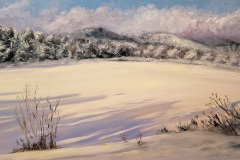 Snow Cover SOLD