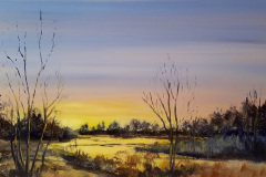 Wetland Glow SOLD