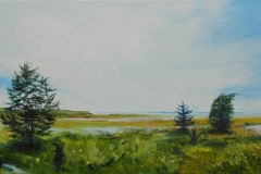 Tidal Plains - SOLD