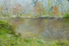 Spring Pond SOLD