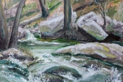 Rapid Flow SOLD