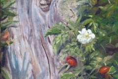 Beach Rose Hips 8x8 Oil SOLD