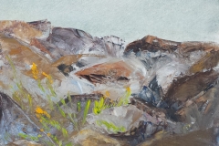 Cliff Flower - Private Collection