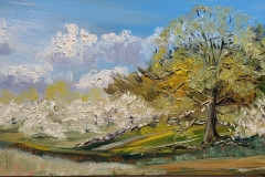 Apple-Blossom-Time-SOLD