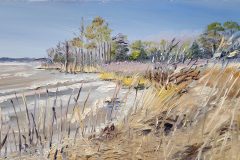 Bay Grasses