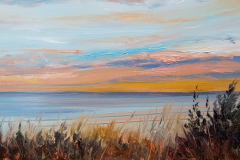 Beach Alarm SOLD