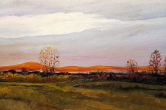 Clearing at Dawn