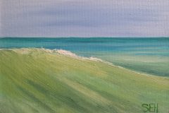 Just Swell SOLD