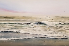 Rye Seabirds
