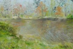 Spring-Pond-rough-web