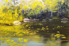 Stone-Pond-Lilies-7x5-Oil-2025-scaled