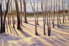 Winter Light SOLD
