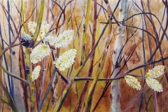 Witch Hazel SOLD