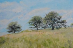 Summer Hill - SOLD