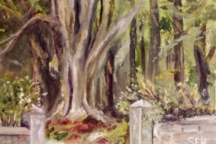 Welcoming Beech - Private Collection