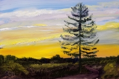 Chasing the Light SOLD