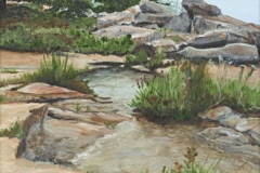 Rain at Schoodic Point - SOLD