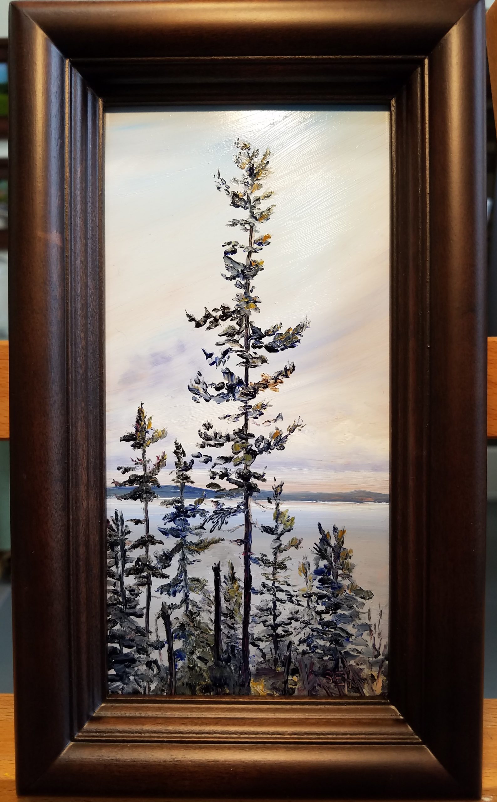 Adams Point Pine Oil on Copper Painting