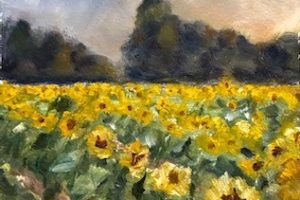 Sunflowers-Tendercrop-6x6-1