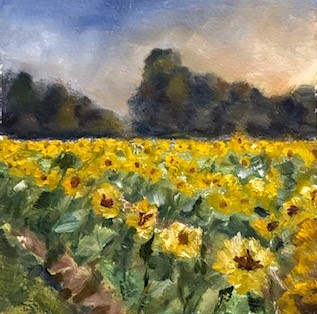 Sunflowers-Tendercrop-6x6-1