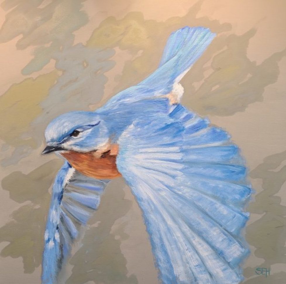 Launched Oil Painting of Bluebird