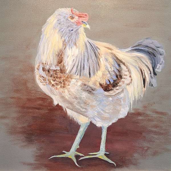 Easter Egger Rooster - Susan E. Hanna