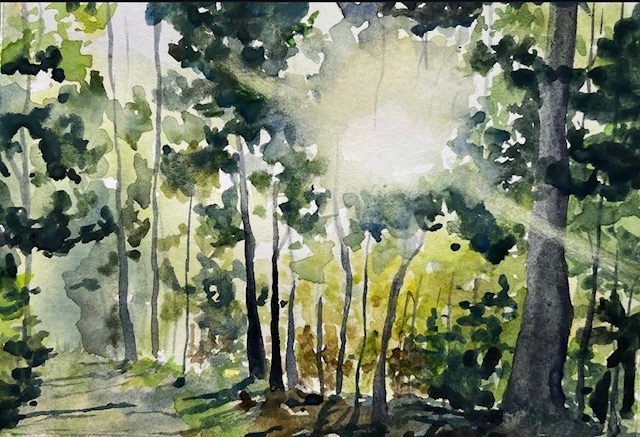 2026 Watercolor Light & Shadow