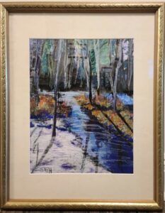 Forest Stream